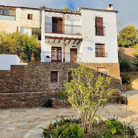Apartamento Los Laureles Laroles Esterno foto